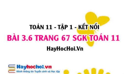 Giải bài 3.6 trang 67 Toán 11 tập 1 SGK Kết nối tri thức